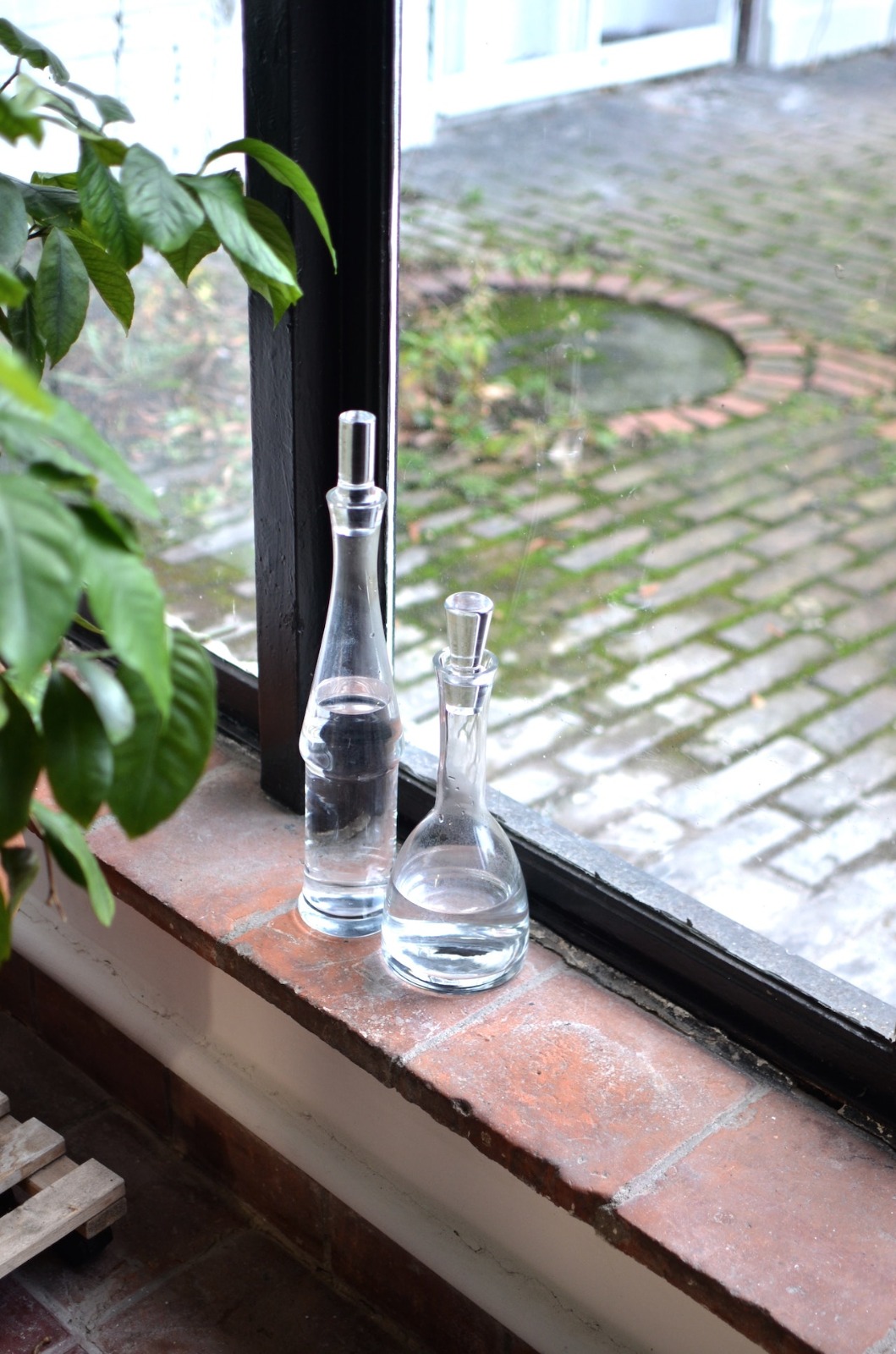 Transparent simple modern water bottle